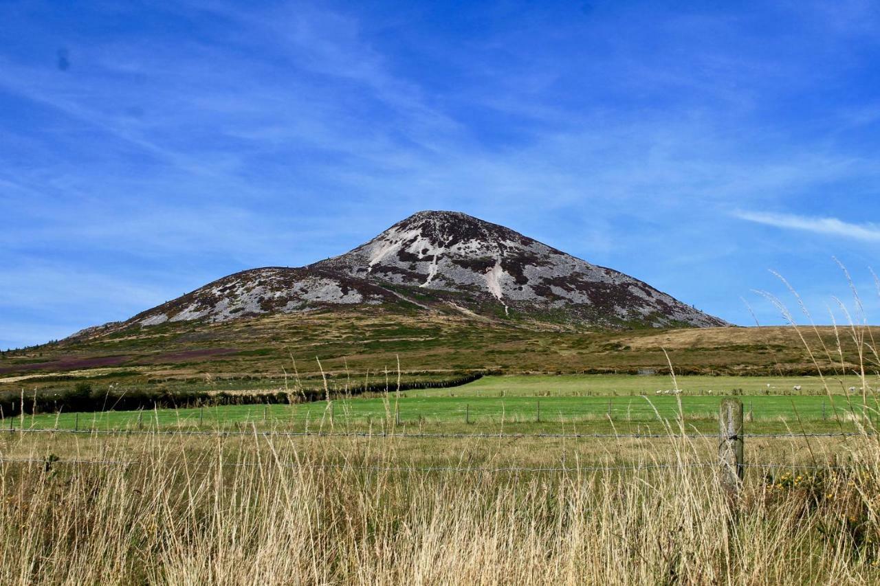 The Nook County Dublin Guest House Bagian luar foto
